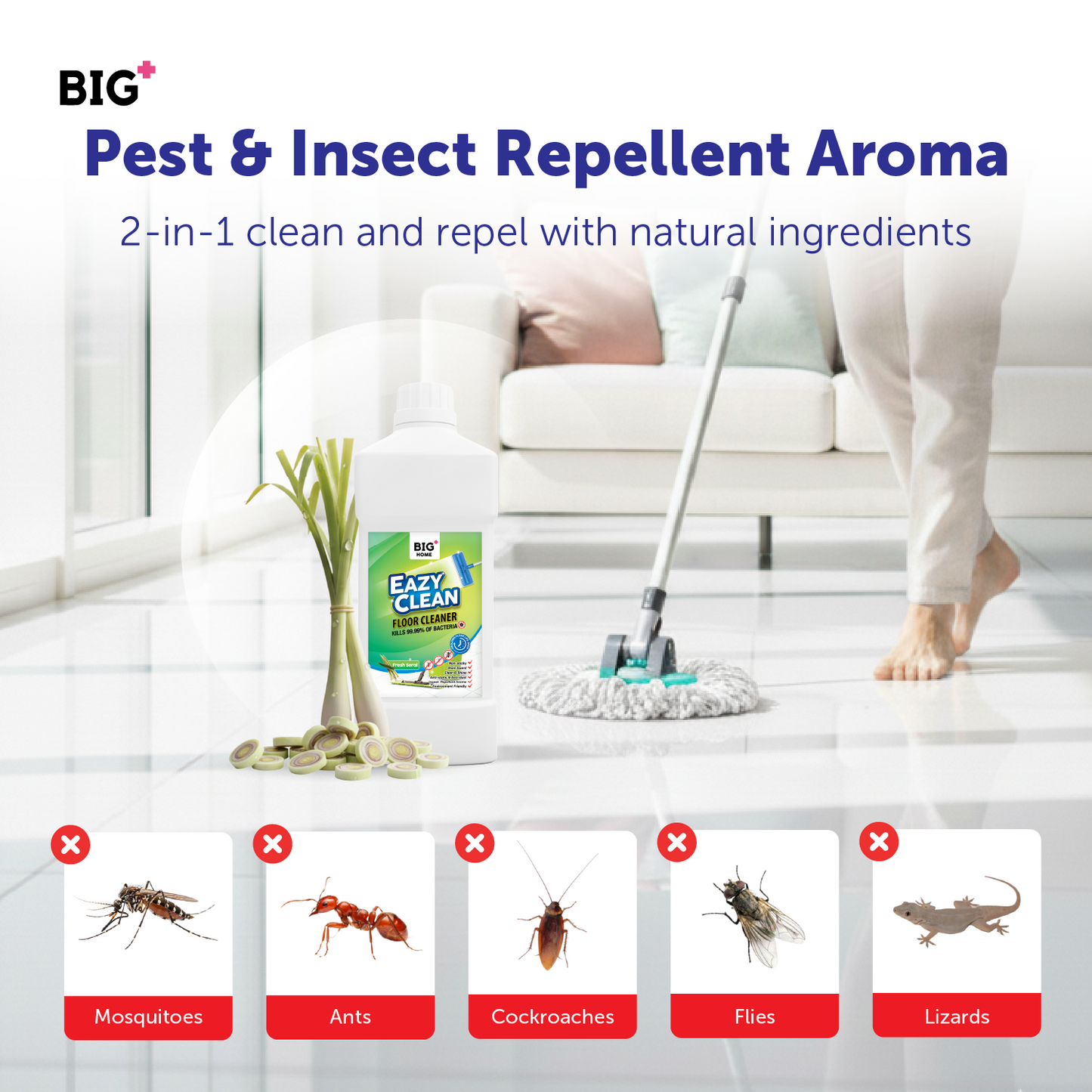 BIG+ EazyClean Floor Cleaner - Fresh Serai (1000ml)
